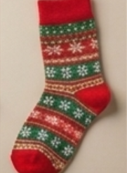 Rydgo Ski Performance Race Socks